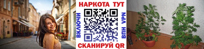 Виды наркоты Сортавала Марихуана  МЕФ  COCAIN  Альфа ПВП  мега ONION  Гашиш 