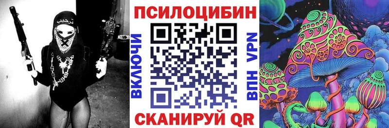 Псилоцибиновые грибы мицелий  Сортавала 
